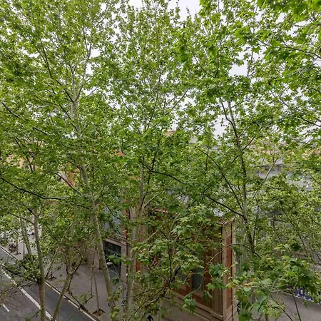 My Space - Spacious And Modern Near The Hospital Clinic * バルセロナ